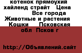 котенок прямоухий  хайленд страйт › Цена ­ 10 000 - Все города Животные и растения » Кошки   . Псковская обл.,Псков г.
